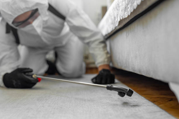Professional Bed Bug Control technician working in Fort Stewart, GA