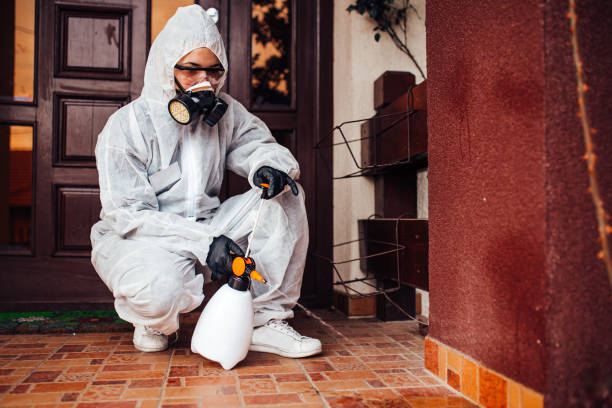 Reliable Bed Bug Control contractor in Fort Stewart, GA by Nex Pest Control